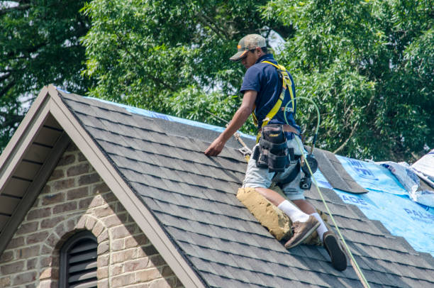 Best Residential Roofing Contractor  in Carrollton, GA